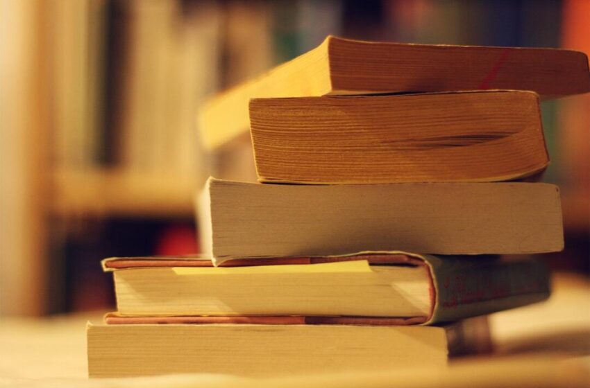  Biblioteca do Sindiserv bate recorde de retiradas de livros