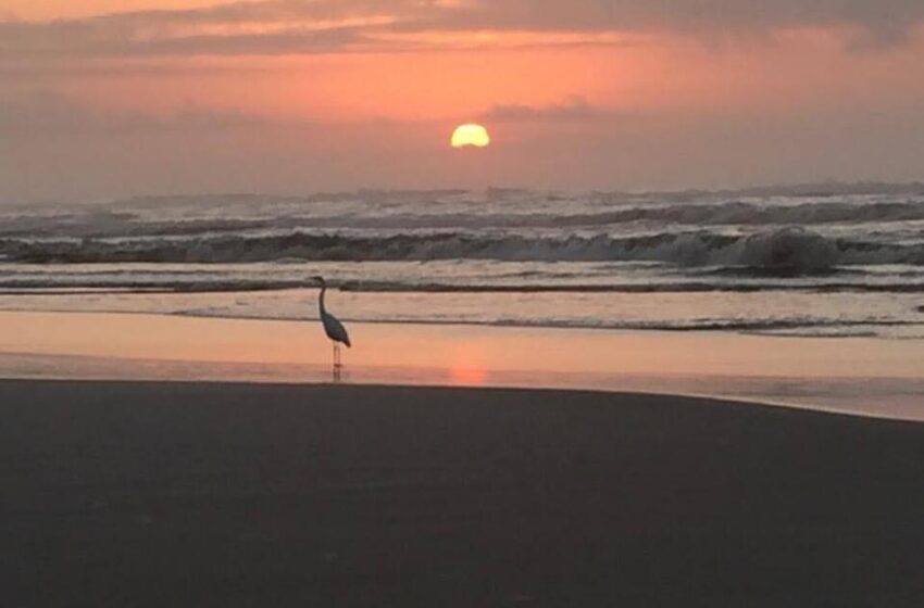  Servidora expõe “Imagens habitadas” na praia de Paraíso