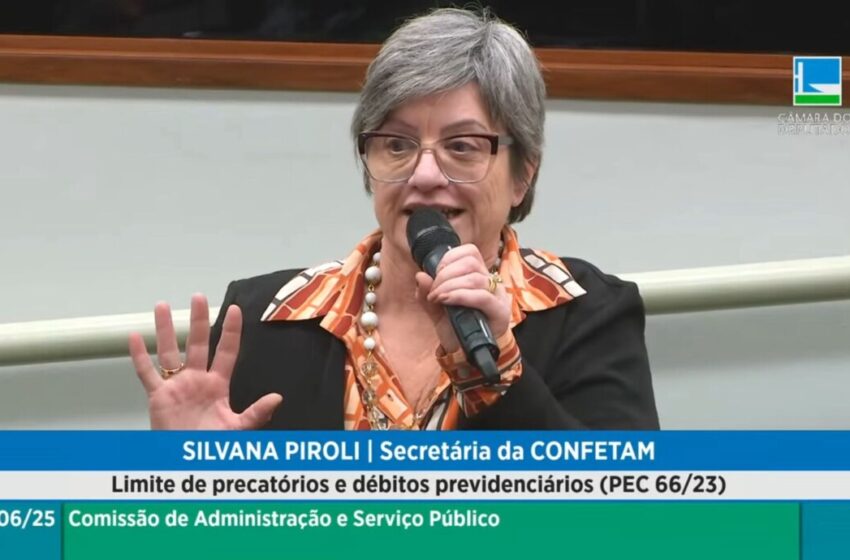  Silvana defende servidores na Comissão de Administração e Serviço Público em Brasília