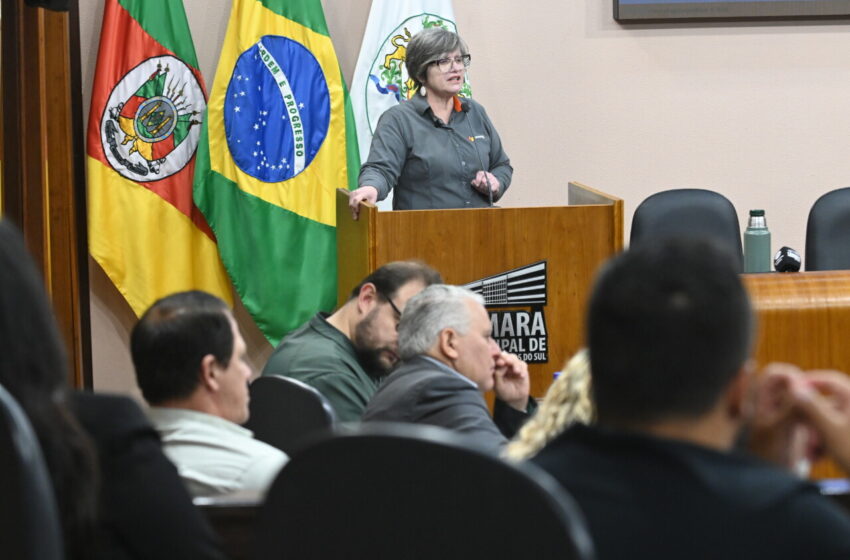  Silvana defende servidores na Câmara